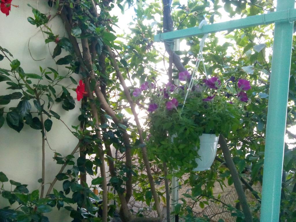 Mary'S Studios Agia Pelagia  Bagian luar foto